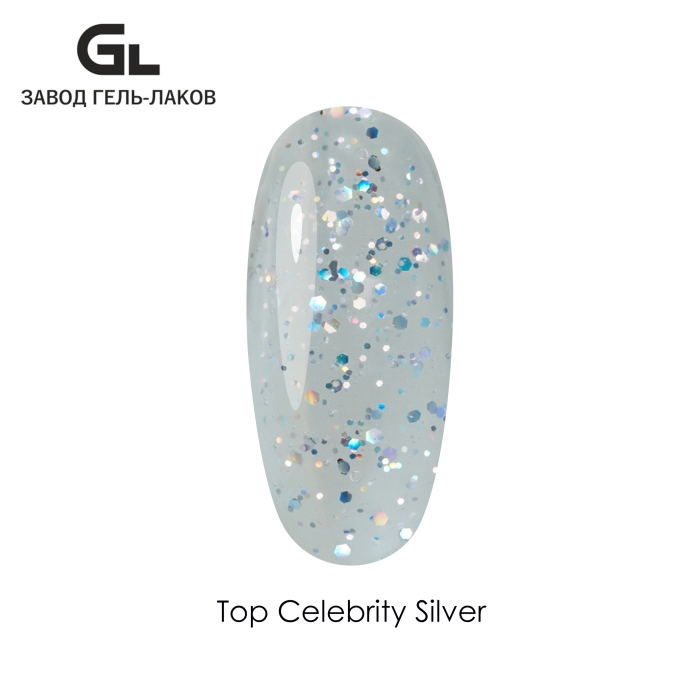 Top Celebrity Silver